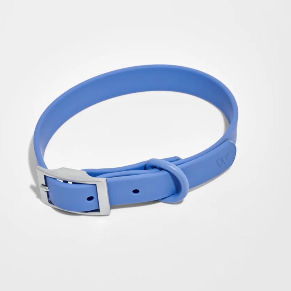 Wild One Dog Collar Size Medium